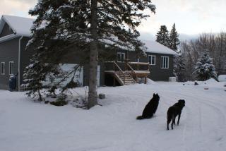 Top of Algonquin Bed and Breakfast - Mattawa - 9