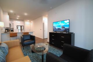 Spectacular Suites by BCA Furnished Apartments - Atlanta - 6