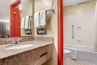 Econo Lodge Inn & Suites Forest - 1