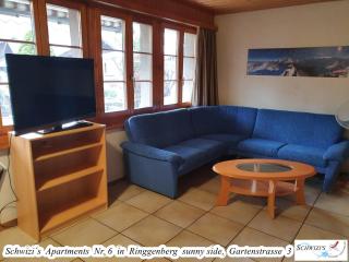Schwizi's Apartments - Ringgenberg - 7