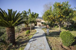 Es Tarongers - Sóller - 9