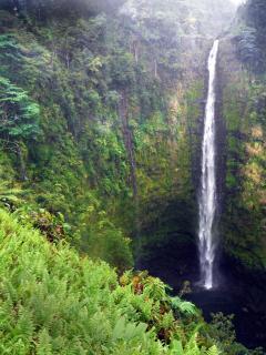 Hale Ola Aina home - Keaau - 1