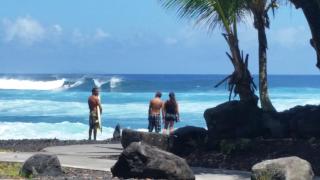 Hale Ola Aina home - Keaau - 5