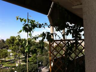 Larala' - Lecce - 6
