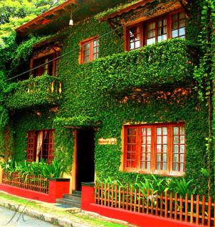 Raintree Lodge - Cochin - 9