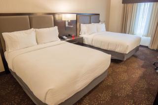 Holiday Inn Trophy Club by IHG - Trophy Club - 2