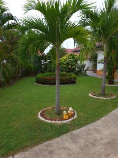 Little Paradise - 5