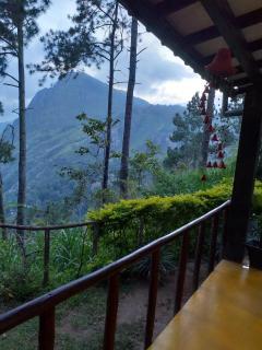 Dream view - Ella - 6