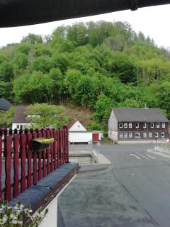 Hotel zur Post - Wieda - 8