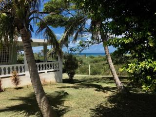 Tranquility by the Sea - Vieques - 8