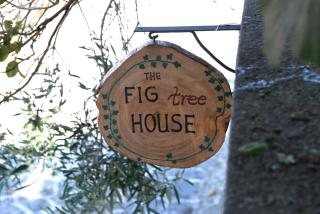 The fig tree house - Samothráki - 9