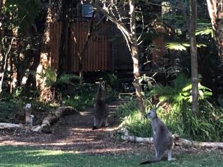 Wanderers Retreat - Nelson Bay - 2