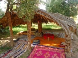 Eco-Ferme Tamalait Skoura - Skoura - 1