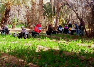 Eco-Ferme Tamalait Skoura - Skoura - 6