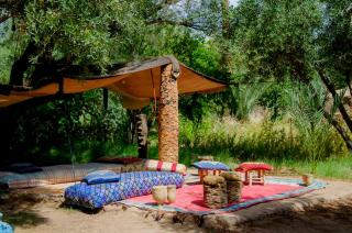 Eco-Ferme Tamalait Skoura - Skoura - 0