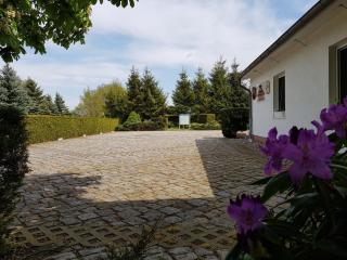 Landhotel Pathes Hof - Bentwisch - 8