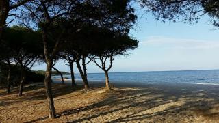 Casa Zeralda, privater Pool - Budoni - 3