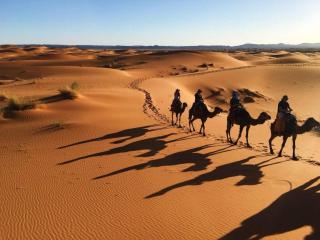 Merzouga Camp & Desert Activities - 9