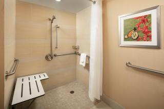 Holiday Inn Austin -Town Lake by IHG - Austin - 1