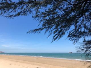 Las Tortugas Condomenium - 5