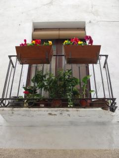 La Llicorella - Falset - 5