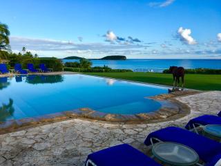 Blue Horizon Boutique Resort - Vieques - 1