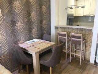 VIP Apartman NENA Zlatibor - Zlatibor - 4