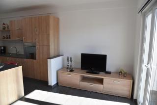 Villa Pina Apartment Nicos 2-4 Pers - Tisno - 4