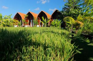 Keramas Surf Camp - Keramas - 1