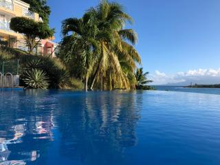 PELICAN PARADISE - 7