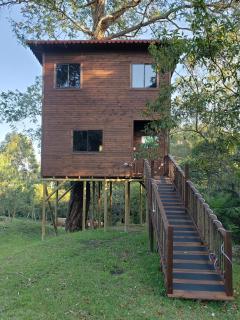La Zenerchi - Rionegro - 0