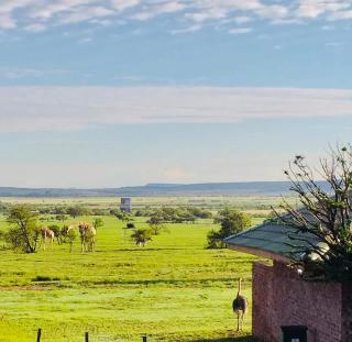 Sangiro Game Lodge - Bloemfontein - 5