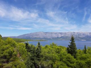 Apartman Tamara - 3