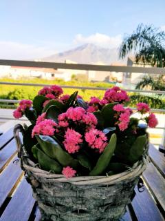 B&B White One - San Prisco - 6