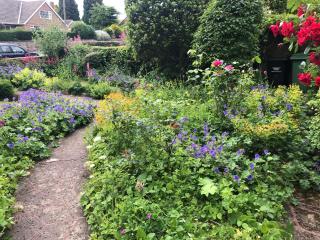 Scalby Grove Cottage - Scarborough - 3