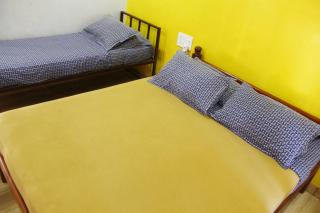 The Jungle Resort Amba - Chandoli - 3