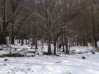 Apartaments Rural Montseny - 3