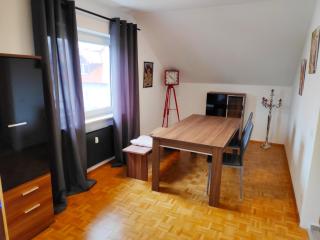 Schicke Ferienwohnung / Monteurwohnung - Leimersheim - 2