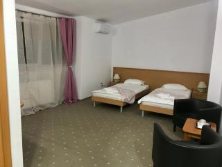 Hotel Vandia - Timişoara - 2
