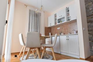 Apartman Ledjanac - Zlatibor - 5