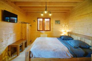 Chalet de Solène - Chambon-sur-Lac - 1