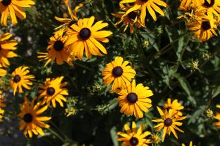La Bastide Bed and Breakfast - Dundee - 6