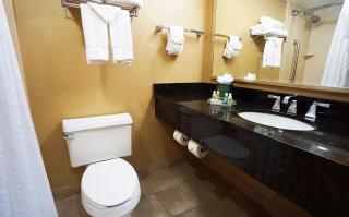 Holiday Inn Corpus Christi Downtown Marina by IHG - 7