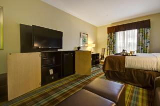 Holiday Inn Christiansburg Blacksburg by IHG - Christiansburg - 5