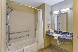Holiday Inn Christiansburg Blacksburg by IHG - Christiansburg - 8