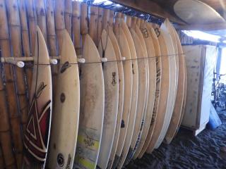 Pelicano Surf Camp - La Libertad - 4