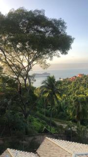 Siriúba Reserve - Ilhabela - 1