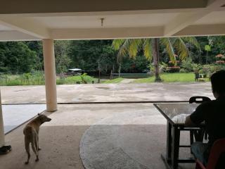 Mulu Diana Homestay - Mulu - 7