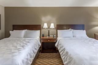 Holiday Inn Eau Claire South I-94 by IHG - 4