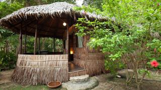 Rimba Resort - Dive Centre & Spa - Pulau Sibu - 5